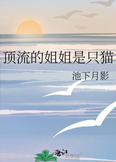 顶流的姐姐是只猫无防盗章