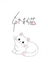 楚小姐是什么电视