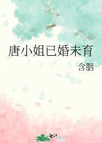 唐小姐已婚未育写的什么