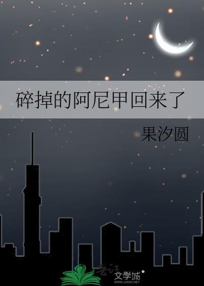 碎掉的阿尼甲回来了作者果汐圆