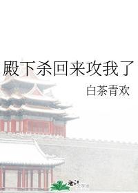 殿下杀回来攻我了——白茶青欢
