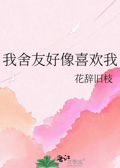 我舍友好像喜欢我txt