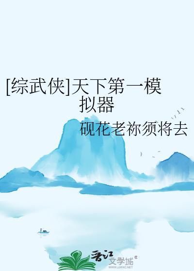 综武侠天下第一模拟器玩家