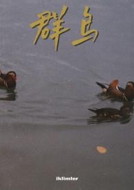 群鸟什么飞四字成语
