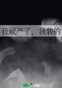 我装的 中意意