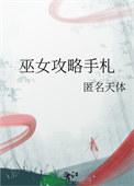巫女刷图技能加点