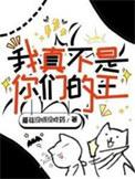 我真的不是你们的女