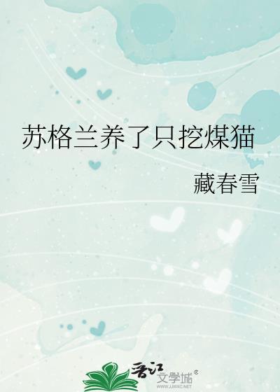 苏格兰的羊