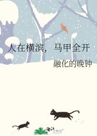 在横滨披全职的马甲真的好吗