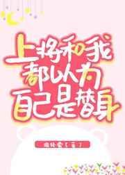 书名上将和我都以为自己是替身 作者挽轻裳
