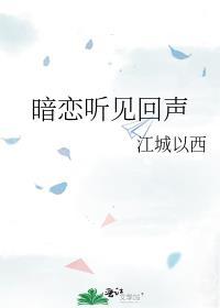 暗恋听见回声免费阅读