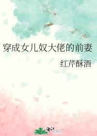 穿成女儿奴大佬的前妻 红芹酥酒讲的什么
