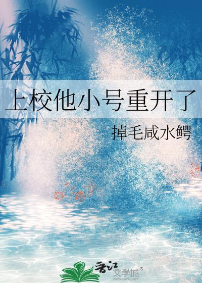 上校他小号重开了全文免费阅读
