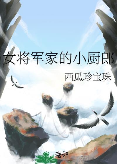 女将军家的小厨郎百度百科