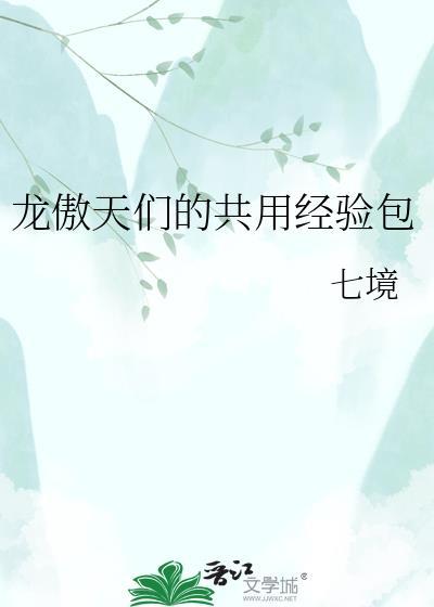 龙傲天们的共用经验包百度