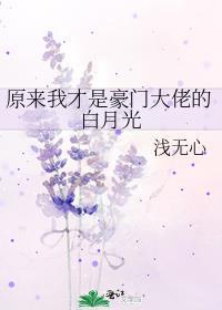 原来我才是豪门大佬的白月光 作者浅无心