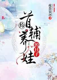 首辅养成之路
