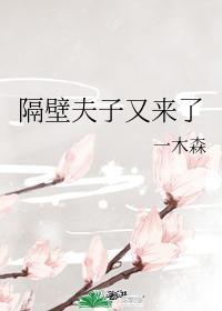 隔壁夫子又来了txt