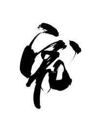 白月光失忆后成了我影卫43