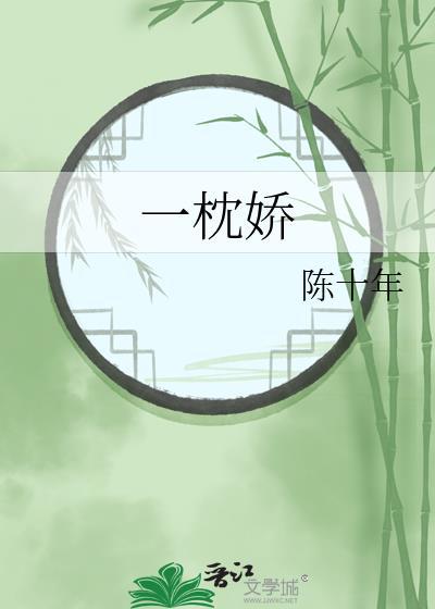 一枕娇沈沉宝言大结局