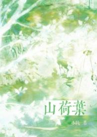 山荷叶画法