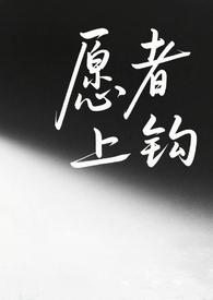 愿者上钩gl简介