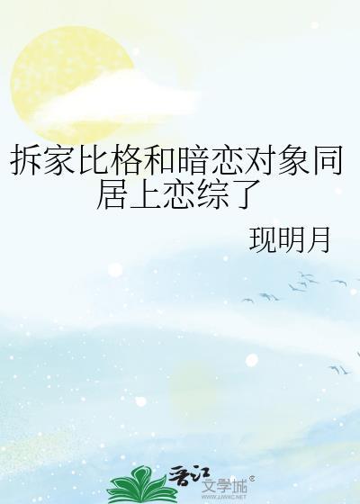 拆家合集