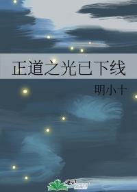正道之光已下线完结番外百度