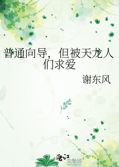 普通向导