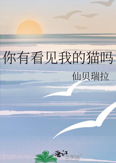 你有见过我的猫吗