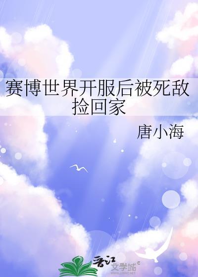 赛博bug