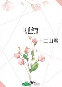 孤鲸之唤