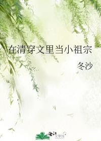 在清穿文里养老晋江