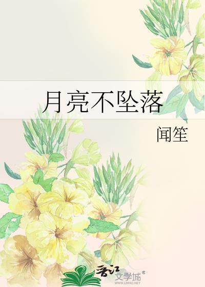 月亮不坠落txt