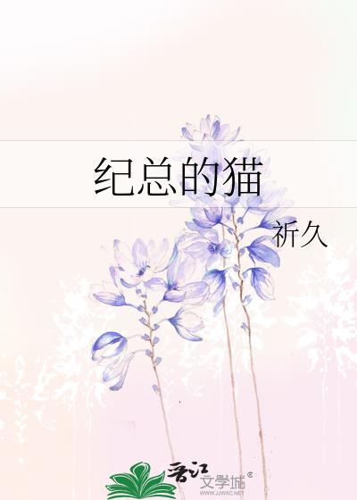 纪总的猫全本网