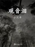 观音泪相当于几级魂导器