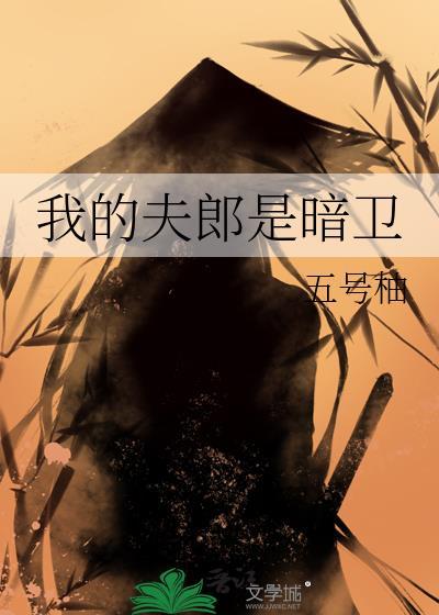 我的夫郎是弃夫全文免费阅读