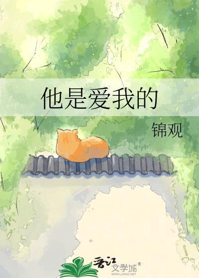 他爱的不是我