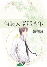 伪装大佬那些年by