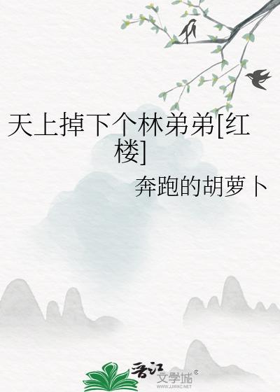 天上掉下个林妹妹下一句是啥