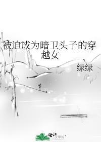 被迫成为暗卫头子的穿越女讲的什么