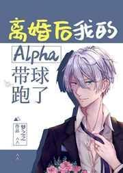 离婚后我的alpha怀孕了剧透
