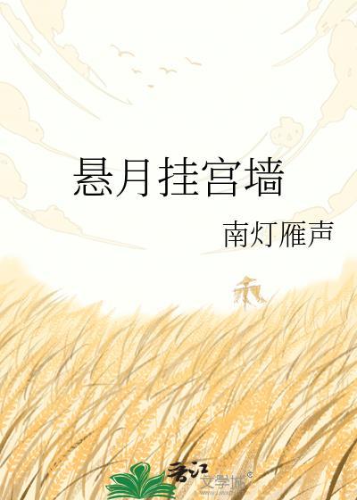悬月挂宫墙晋江