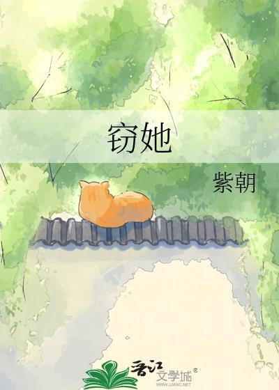 窃她原著宋婉宁