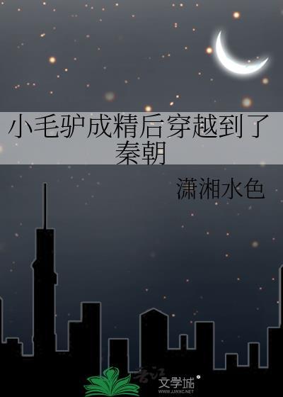 小毛驴与我