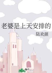 老婆是上天安排的作者陆欢颜
