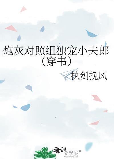 炮灰组是什么意思