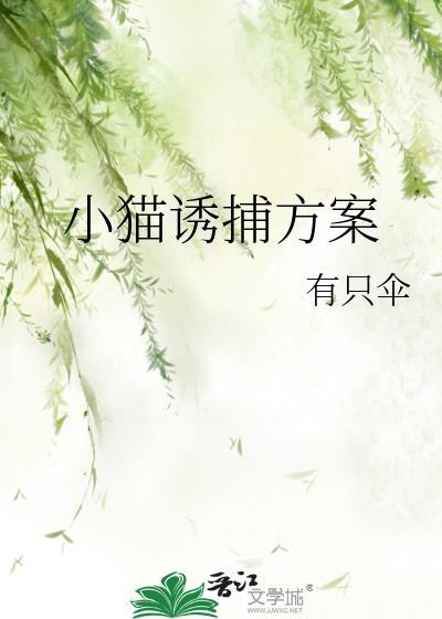 小猫诱捕方案怎么写