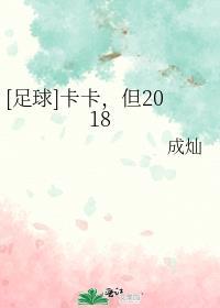 卡卡足球壁纸