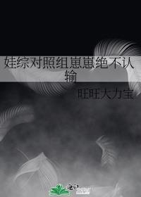 和森首领be后晋江